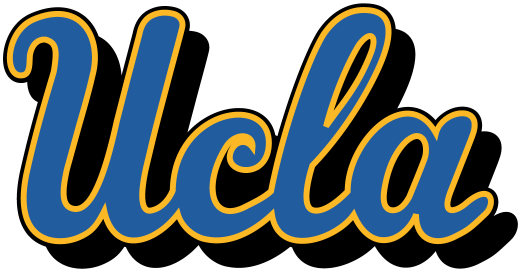 UCLA Bruins 1973-Pres Alternate Logo diy fabric transfer...